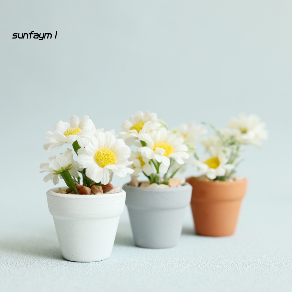 Chậu Cây Cảnh Mini Tỉ Lệ 1: 6 / 1: 8 Dùng Để Trang Trí Nhà Búp Bê