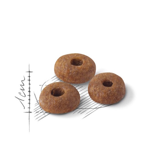 Royal Canin Fit 32 Thức Ăn Hạt Cho Mèo Trưởng thành