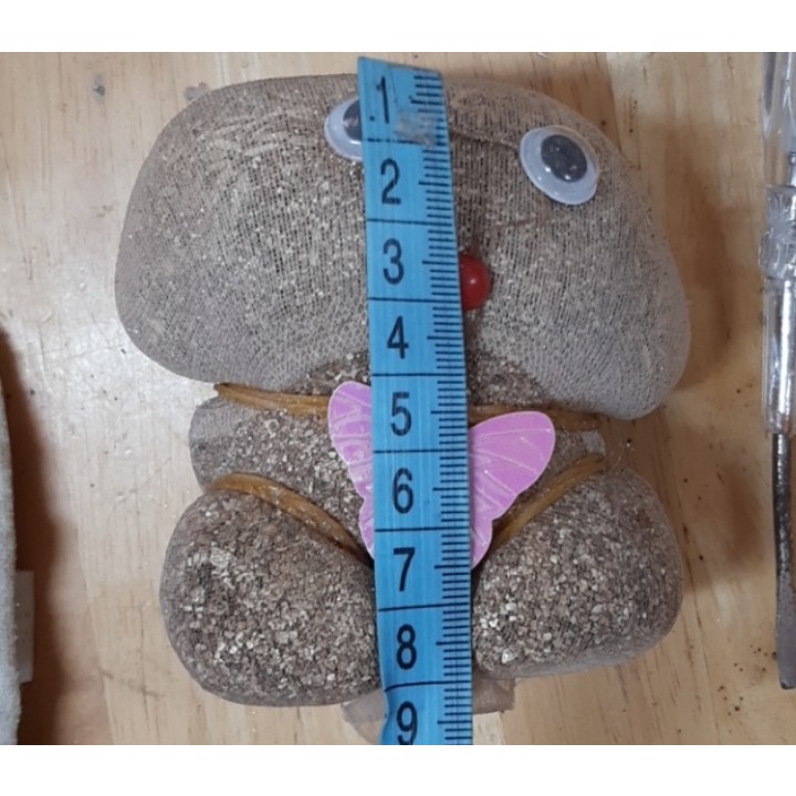 Búp Bê Đầu Hoa Cỏ Dễ Thương Trang Trí Phòng Bàn Làm Việc