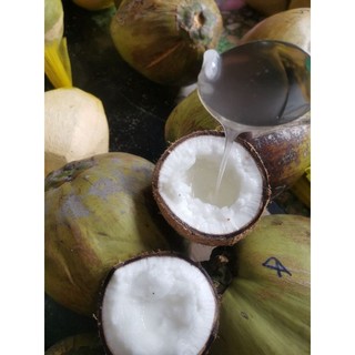Dừa Sáp Bi đặc dày cơm 120k trái 600g-800g