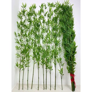 Cây trúc giả - tre giả 1m2- 2m cây trúc quân tử trang trí văn phòng nhà hàng, Giá 1 Cây