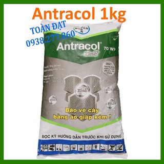 Thuốc trừ bệnh Antracol 70WP túi 1kg - chính hãng Bayer, Siêu Kẽm bảo vệ cây trồng