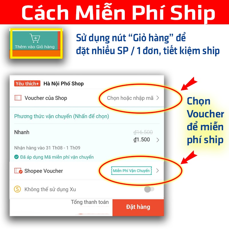 Combo Áo thun - Mũ Nón - Tem Hội Kèn Ong Vàng