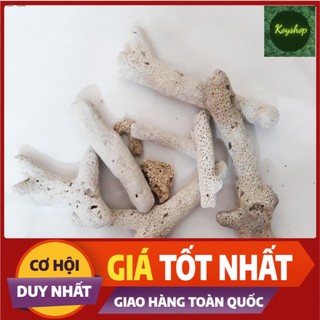 San hô lọc hồ cá 1kg - san hô bể cá