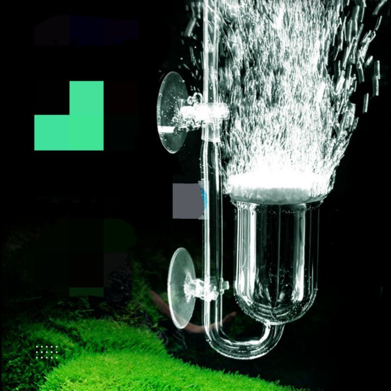 Cốc sủi CO2 siêu mịn cho hồ cá thủy sinh