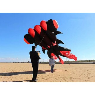 Diều khí động học - cá gold fish 5.5m