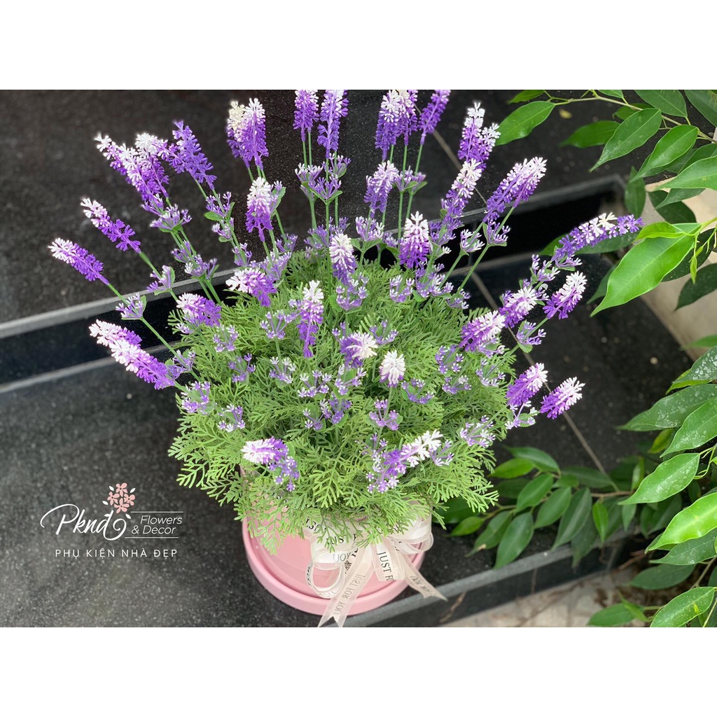Hoa Lavender_Cành hoa giả Lavender 3 nhánh cao 50cm thân phủ phấn trắng giống thật loại 1, phù hợp trang trí nhà cửa