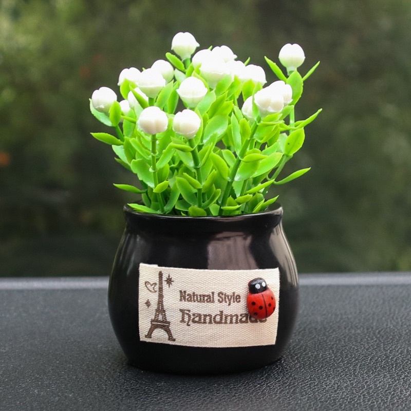 CHẬU CÂY MINI TRANG TRÍ TAPLO XE HƠI, Ô TÔ