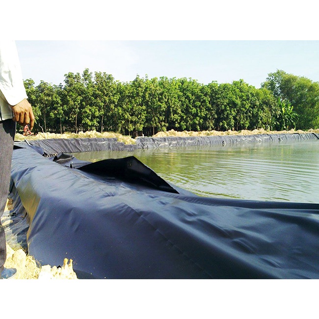 BẠT CHỐNG THẤM HDPE KHỔ RỘNG 6M LOẠI 0,3MM