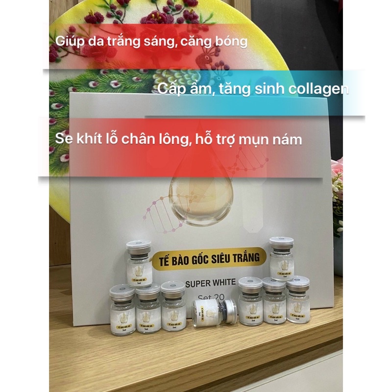 Tế Bào Gốc Siêu Trắng, Trắng Da 1 hộp 20 lọ 5ml SUPER WHITE