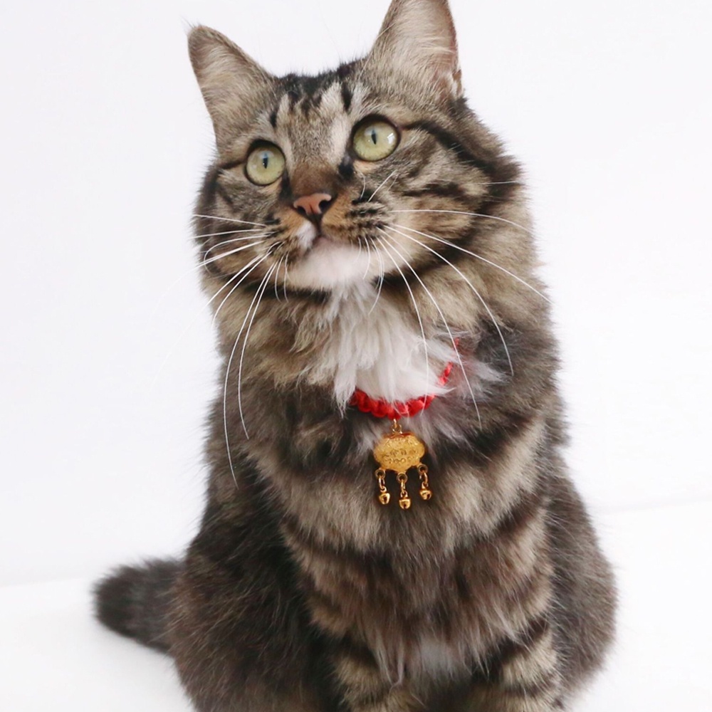 Vòng Cổ Dây Bện Màu Đỏ Thời Trang Chất Lượng Cao Có Thể Điều Chỉnh Cho Thú Cưng