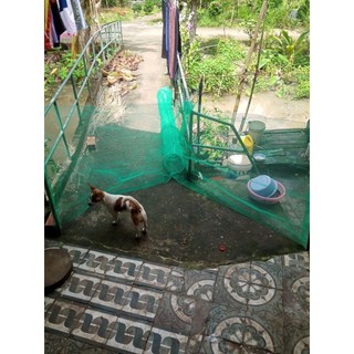 dớn bắt cá tép miền tây