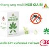 Nhang ung muỗi TCS ngũ gia bì