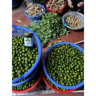 SIRO HO HÚNG CHANH- THẢO MỘC QUÊ 350ML