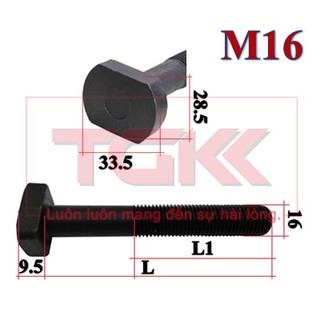 Bu lông chữ t thép 8.8 m16