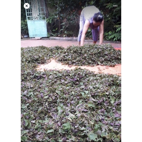 1Kg Lá tía tô khô nhà làm thơm,mới,sạch