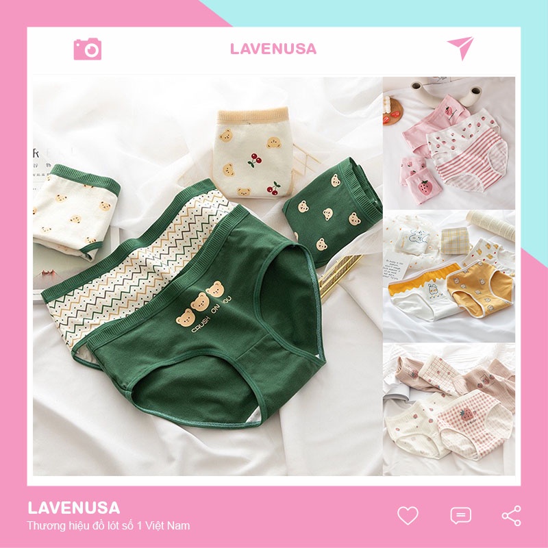 Quần lót nữ cotton kháng khuẩn thấm hút cute đáng yêu set 4 quần LAVENUSA