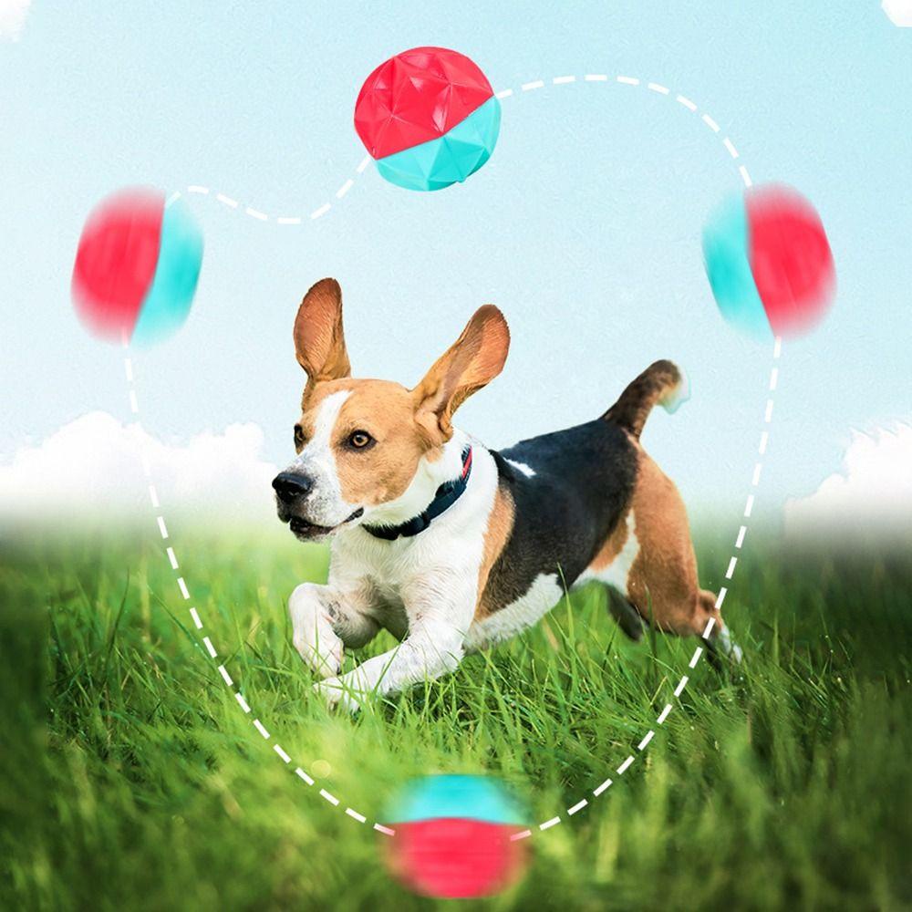 Layor1 Quả Bóng Nổi Chống Cắn Cho Chó Chơi Thể Thao