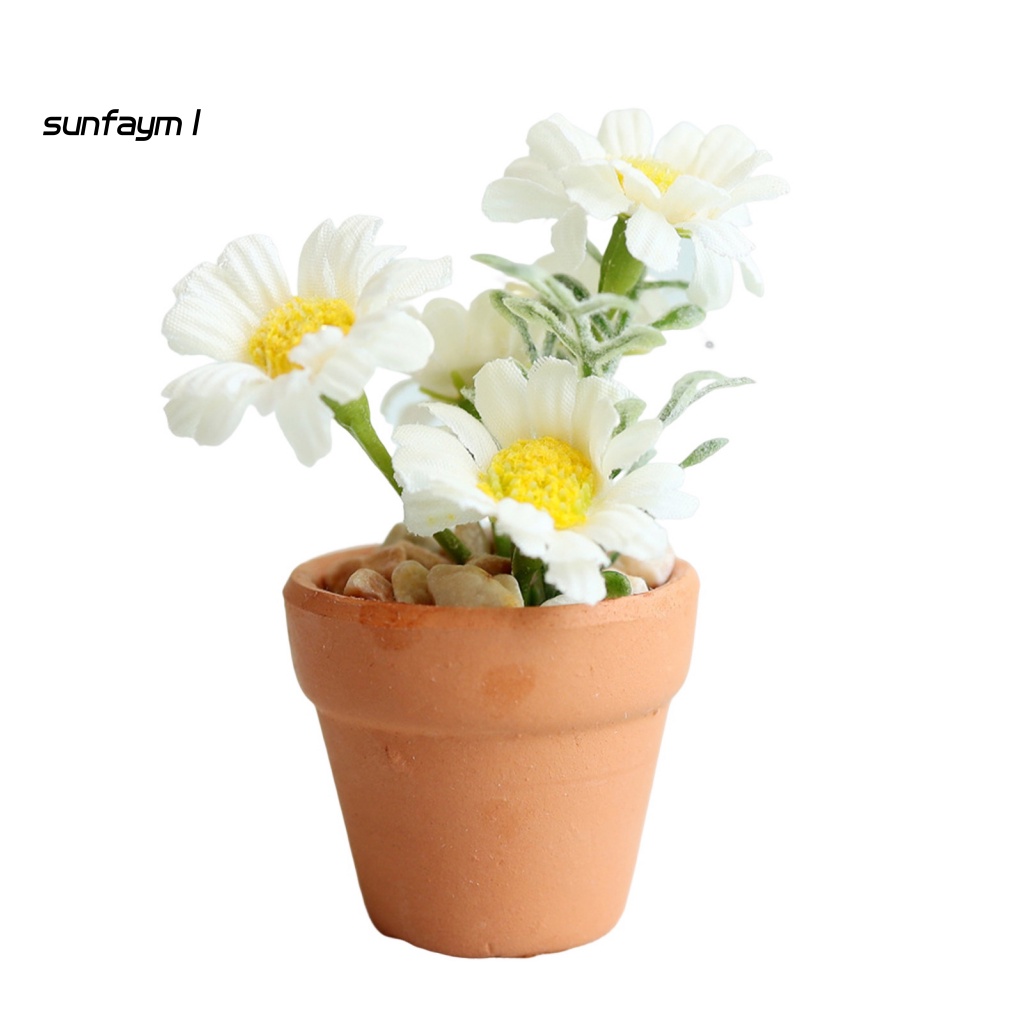 Chậu Cây Cảnh Mini Tỉ Lệ 1: 6 / 1: 8 Dùng Để Trang Trí Nhà Búp Bê