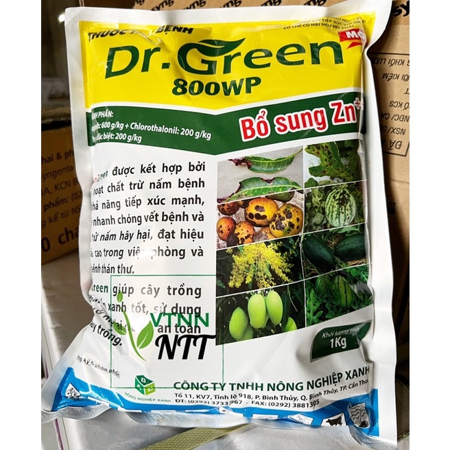 Thuốc trừ bệnh Dr.GREEN 800WP (1kg) chuyên trị Thán thư, Sương mai trên nhiều loại cây trồng - VTNN Nguyễn Thanh Tuyền