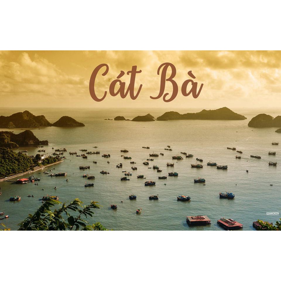 Tour cát bà 3n2d
