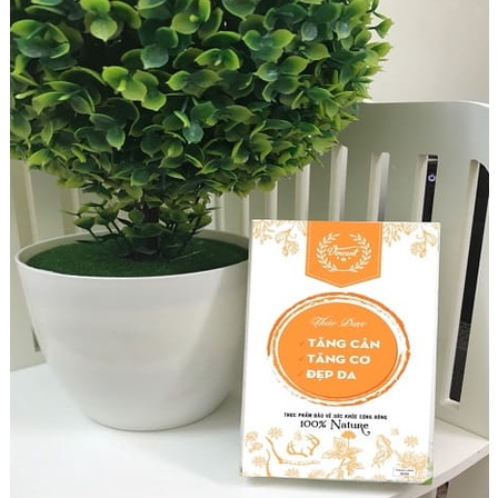 Tăng cân VINCENT thảo dược tăng cân- tăng cơ liệu trình 15 ngày tăng từ 1-3kg an toàn- hiệu quả , chính hãng