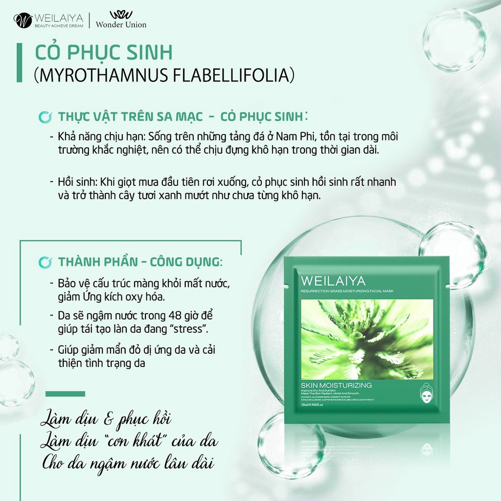 Mặt nạ Tái Sinh & Mặt nạ Trắng Da hộp 10 miếng Weilaiya