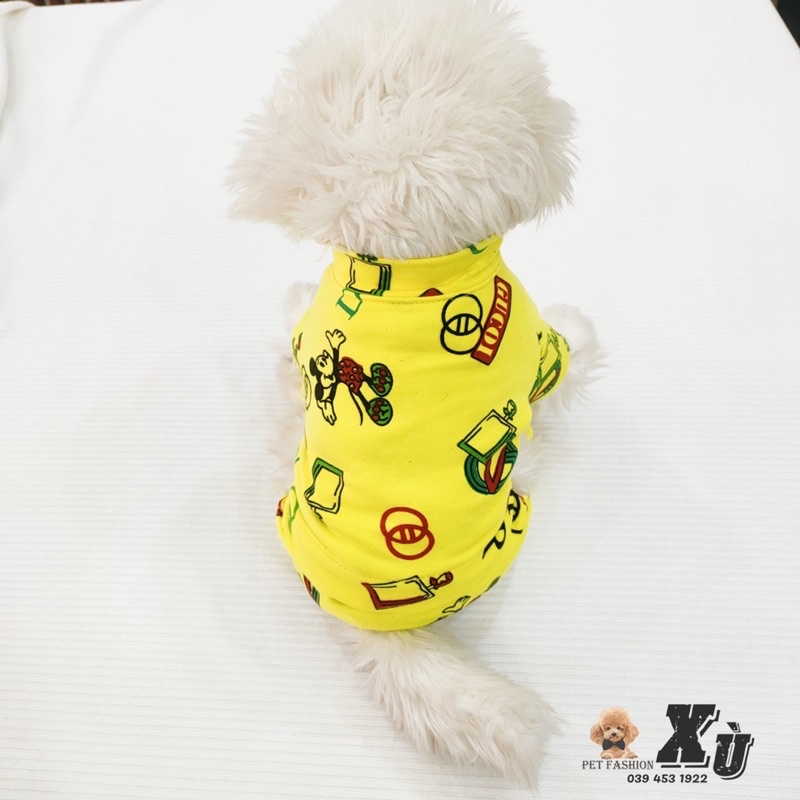 Jum Tay Xanh khủng long màu dành cho các bé chó mèo🐶🐱
