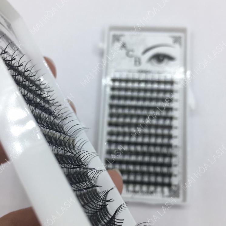 Mi trụ katun 5D -dungcunoimi-maihoalash