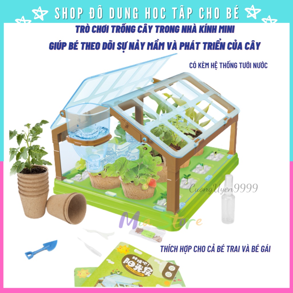 Trò Chơi Trồng Cây Trong Nhà Kính Mini Giúp Bé Theo Dõi Sự Nảy Mầm Và Phát Triển Của Cây, Yêu Thiên Nhiên Hơn