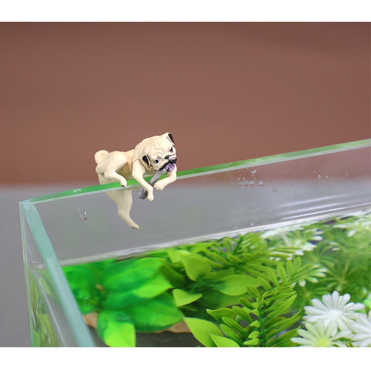 Bể cá trang trí bể cá hình ảnh trang trí hình ảnh phong cảnh sáng tạo