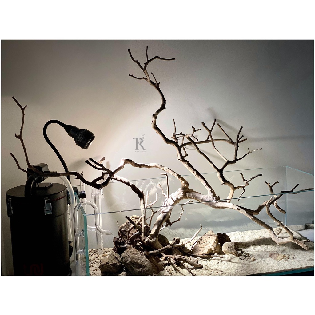 Lọc pvc shallow TRU-168800S