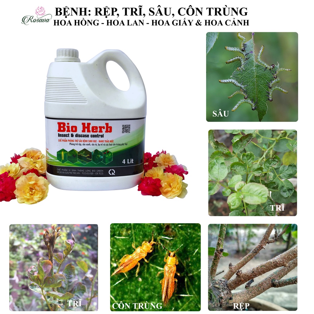 Chế phẩm sinh học thảo mộc Rosava can 4L rẻ bay bọ trĩ, nhện, rệp, sâu, côn trùng gây hại cho hoa hồng, lan và cây cảnh