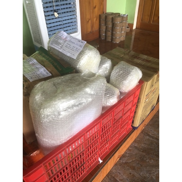 Tổ chim sinh sản cho chào mào