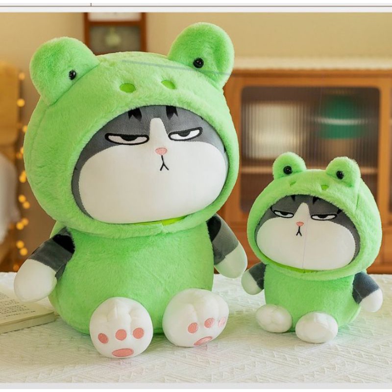 Gấu bông mèo hoàng thượng cosplay ếch, gấu bông mèo ếch, mèo thỏ