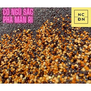 Hạt cỏ thái- Hạt cỏ thái ngũ sắc pha mần ri - Ngũ cốc Đặng Nam