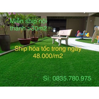 Thảm cỏ nhân tạo trải sân vườn, trường mầm non