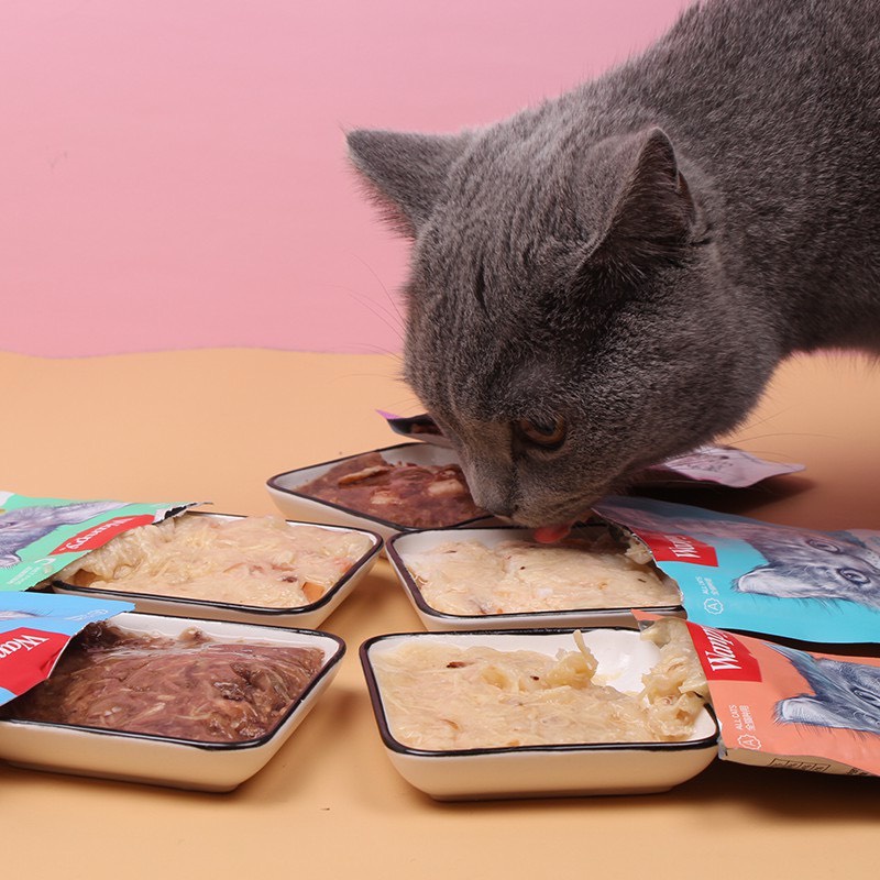 COMBO 14 GÓI Pate WANPY Cao Cấp cho Mèo Mix Đủ Vị gói 80g | Vie PETSHOP