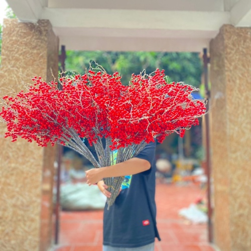 Đào Đông thân cổ phủ phấn cắm bình hoa trang trí Decor không gian siêu đẹp