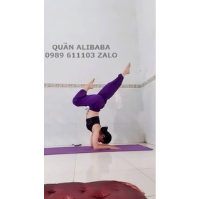 🌴🌴 Quần Alibaba yoga màu trơn, voi thái