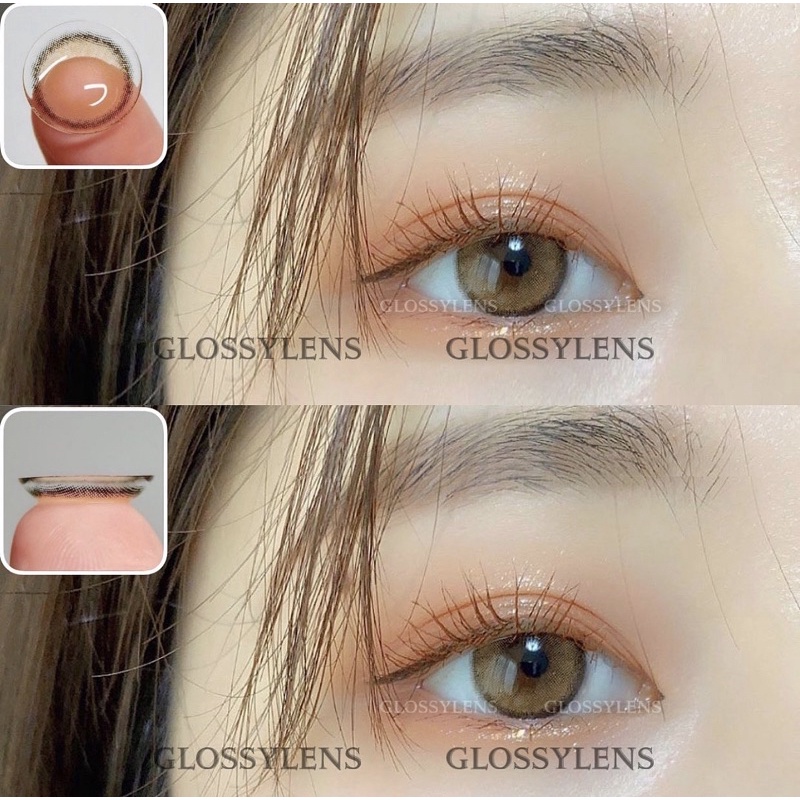 KÍNH ÁP TRÒNG MAV BROWN ( NÂU VÀNG ) @glossylens.vn