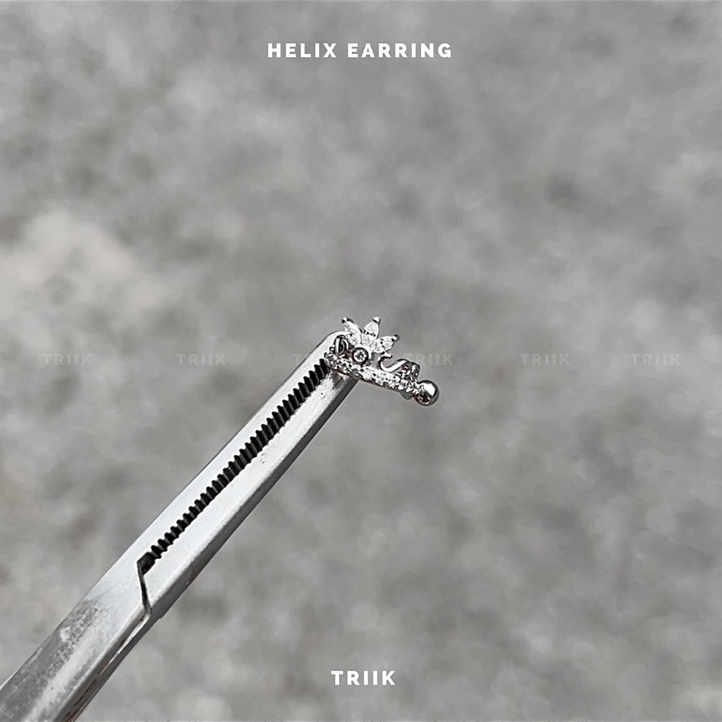 Khuyên tai - Helix Earring 01 ( giá 1 chiếc )