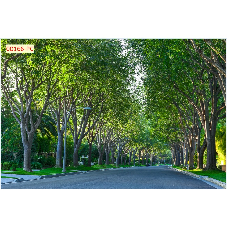 Tranh Dán Tường Cây Lá In 3D Cao Cấp thiết kế đẹp theo xu hướng