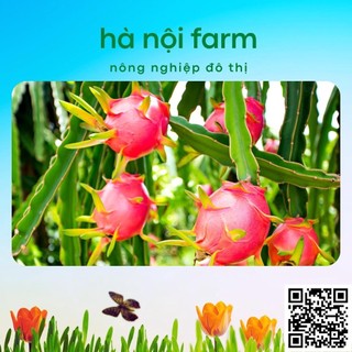 phân bón kali đỏ 500g ( kali clorua)