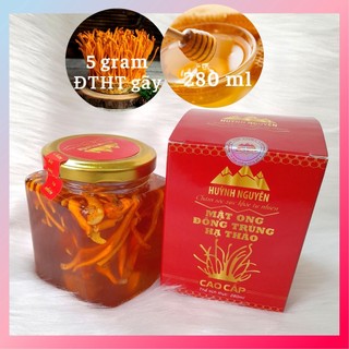 #mật ong đông trùng hạ thảo# - hộp 280ml - huỳnh nguyên - cao cấp