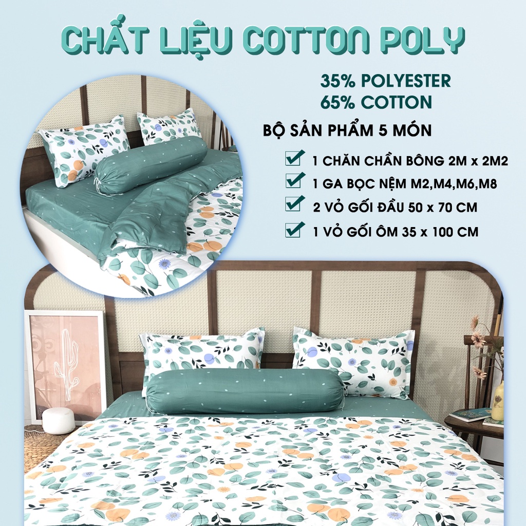 Bộ Chăn Ga Gối Cotton Poly MD DECOR Drap Giường 5 món nhiều size Ra Nệm M4 M6 M8 họa tiết dễ thương