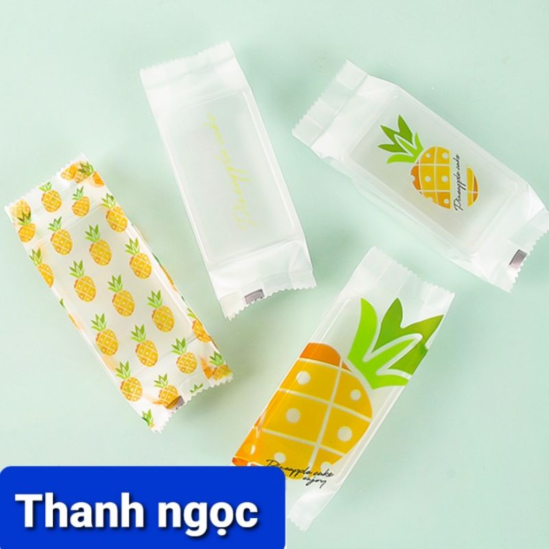 Túi bánh dứa + khay mix 4 mẫu trong mờ