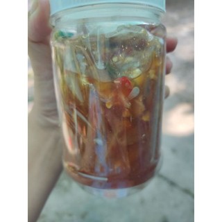 Mắm cá cơm sông đặc sản miền Tây