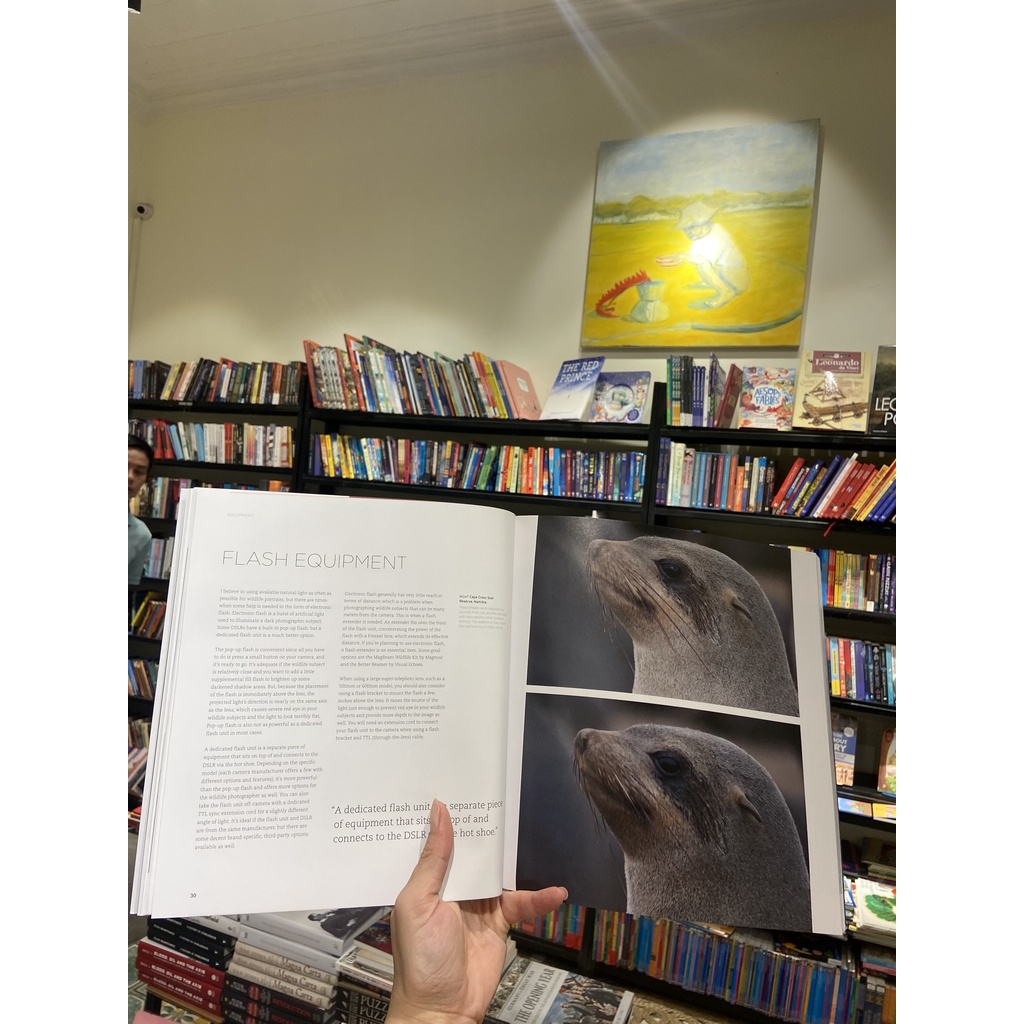 Sách - Wildlife Photography