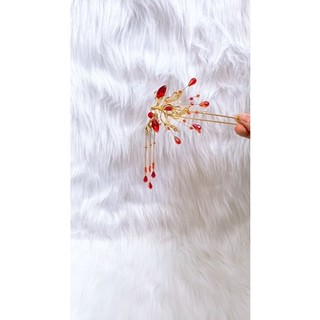 Trâm phượng hoàng hoa lửa - sẵn hàng new
